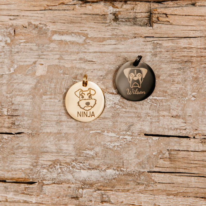 pet tags in gold or black