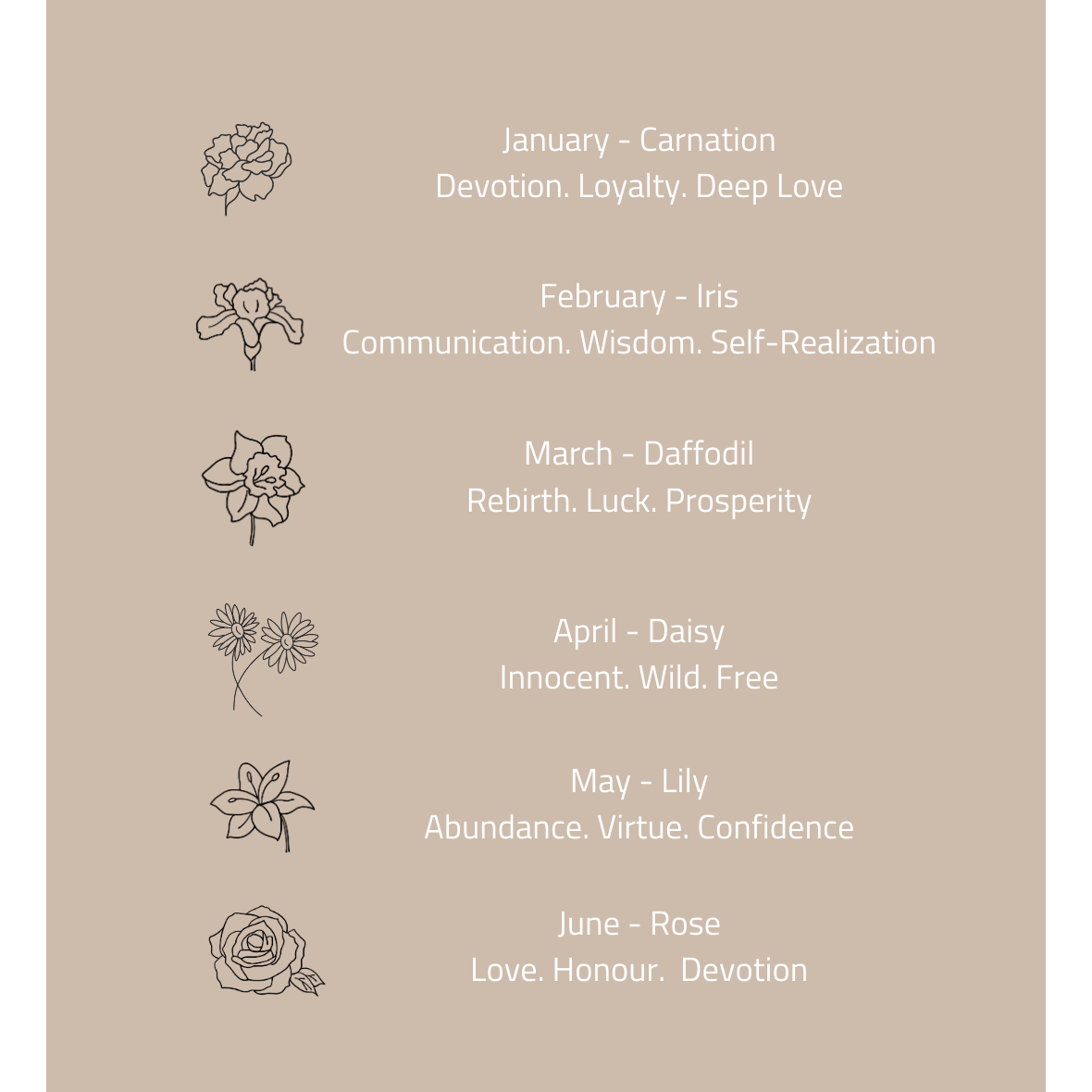 Birth flower meaning guide