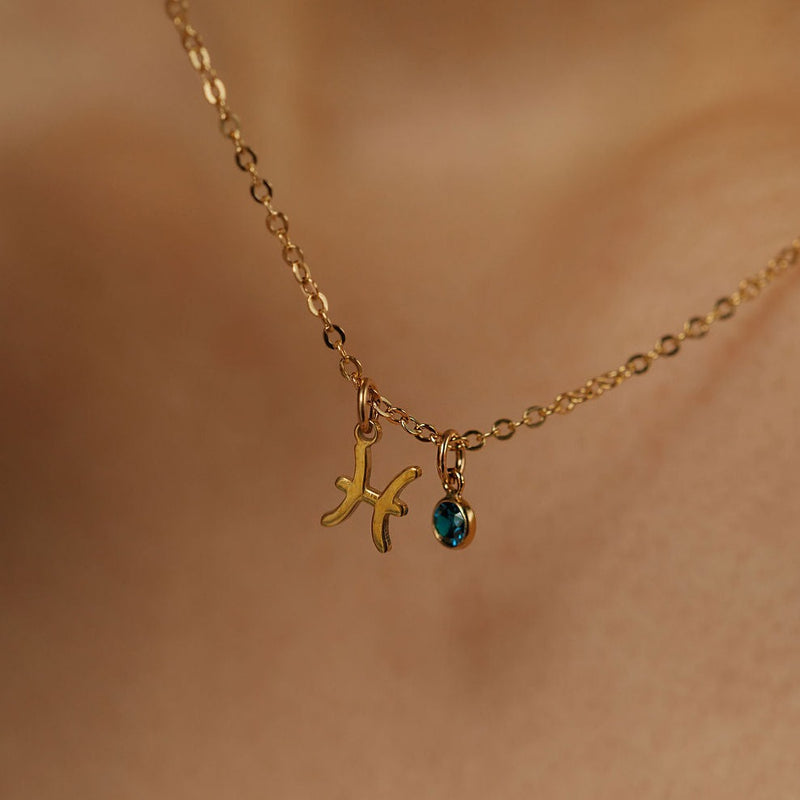 Zodiac Charm Necklace With Tiny Birthstone - M E I R A K O