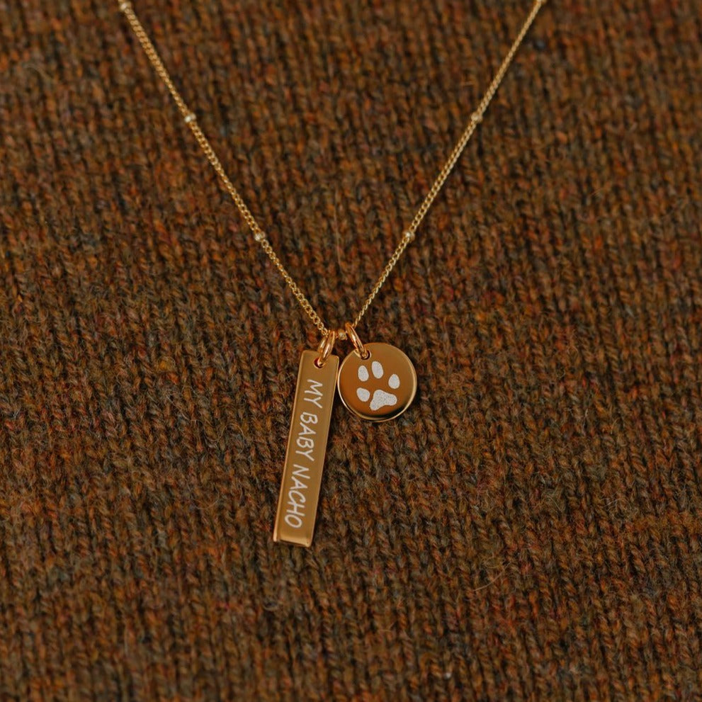 A pet print coin charm with a engraved bar. On the bar "my baby nacho" was written. 